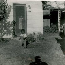 Larry Spicer on Maple